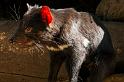 130103_0944_A06614_Tasman_fhd