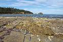 121227_1542_T00480_TesselatedPavement