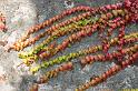 170928_1409_T00314_MonteSanSalvatore_hd