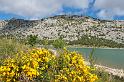 140526_1002_T01316_Cuber_Soller_hd