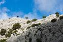 140526_1028_T01333_Cuber_Soller_hd